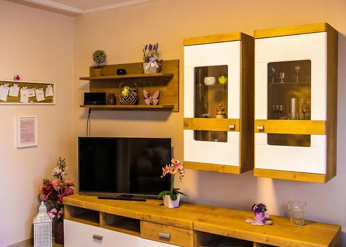 Apartment Rajevac