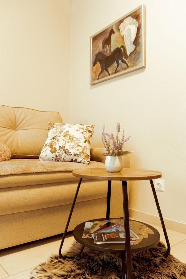 Apartment Rajevac
